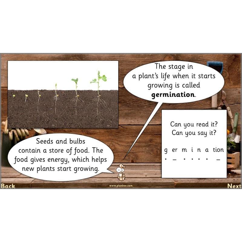 PlanBee Secret World of Plants - KS1 Science Scheme of Work: Year 2