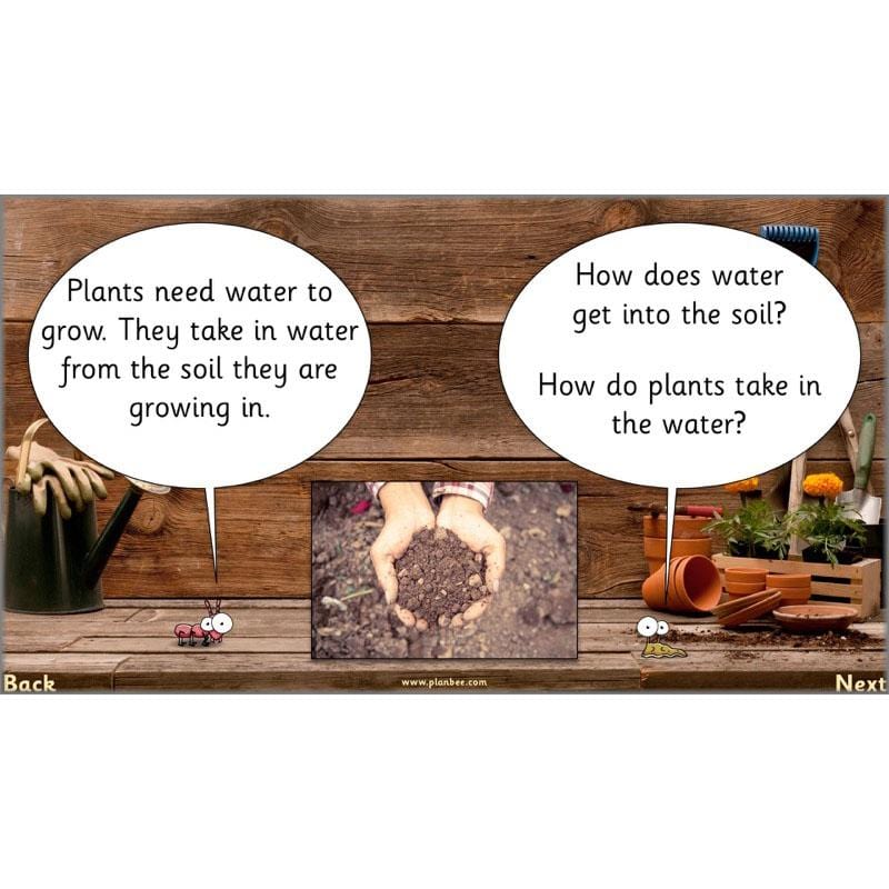 PlanBee Secret World of Plants - KS1 Science Scheme of Work: Year 2
