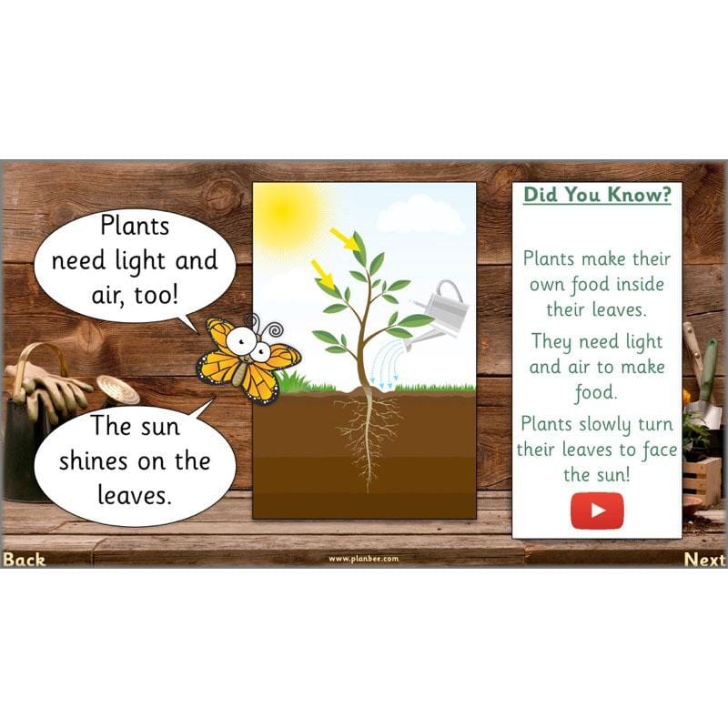 PlanBee Secret World of Plants - KS1 Science Scheme of Work: Year 2