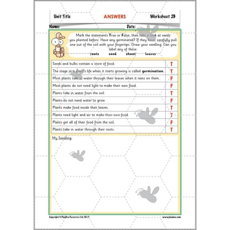 PlanBee Secret World of Plants - KS1 Science Scheme of Work: Year 2