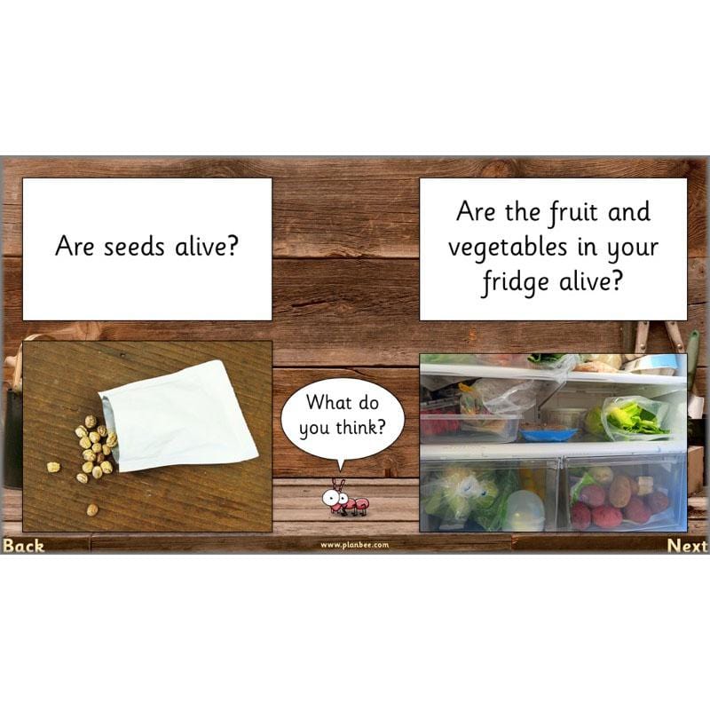 PlanBee Secret World of Plants - KS1 Science Scheme of Work: Year 2