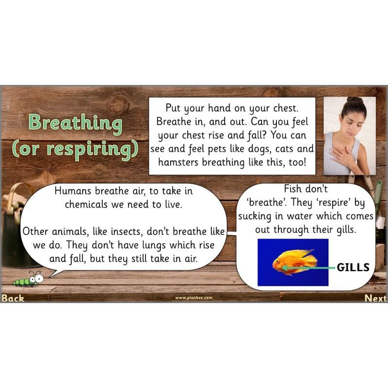 PlanBee Secret World of Plants - KS1 Science Scheme of Work: Year 2