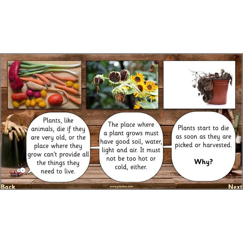 PlanBee Secret World of Plants - KS1 Science Scheme of Work: Year 2
