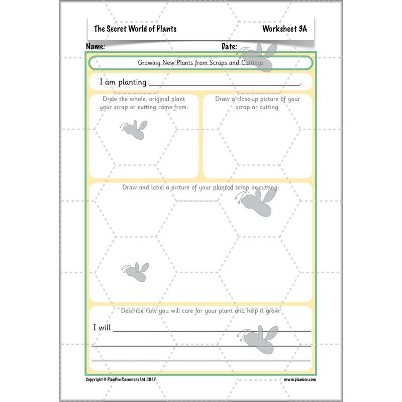 PlanBee Secret World of Plants - KS1 Science Scheme of Work: Year 2