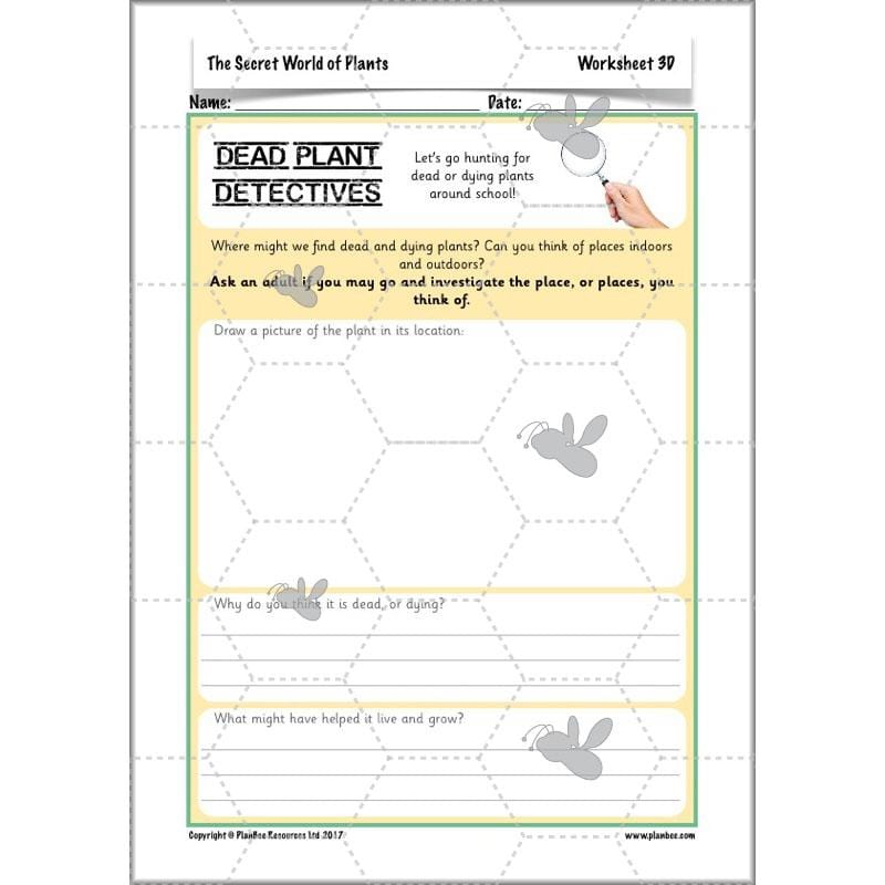 PlanBee Secret World of Plants - KS1 Science Scheme of Work: Year 2