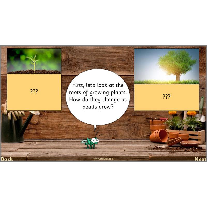 PlanBee Secret World of Plants - KS1 Science Scheme of Work: Year 2