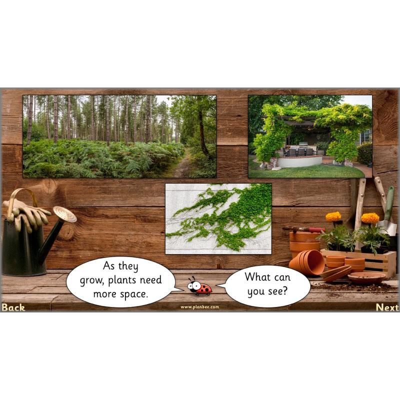 PlanBee Secret World of Plants - KS1 Science Scheme of Work: Year 2