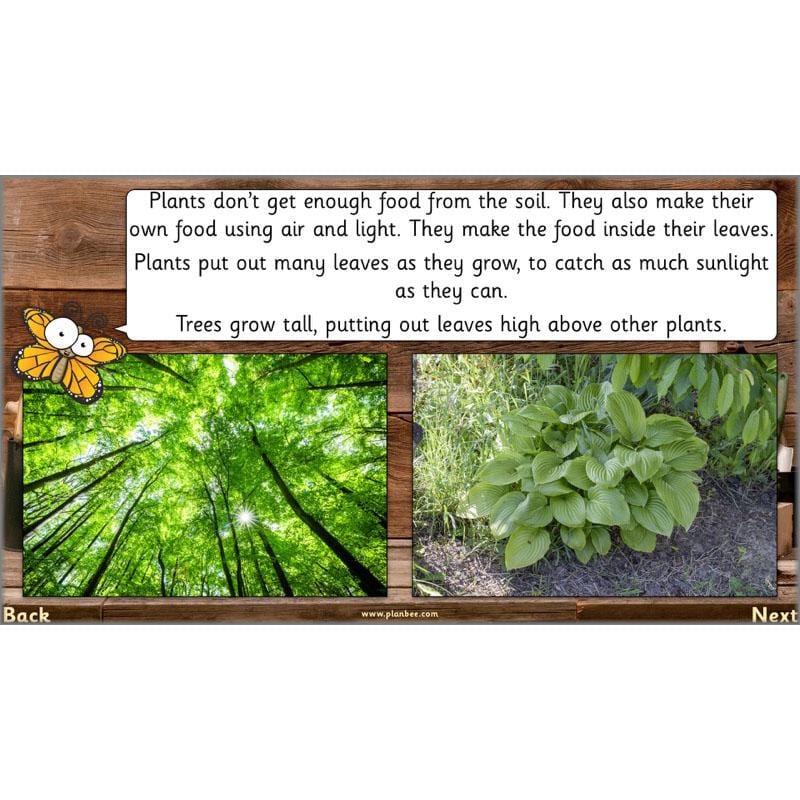 PlanBee Secret World of Plants - KS1 Science Scheme of Work: Year 2