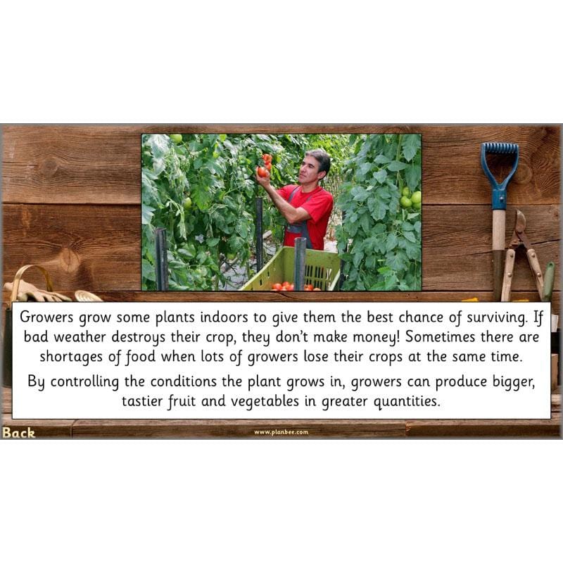 PlanBee Secret World of Plants - KS1 Science Scheme of Work: Year 2