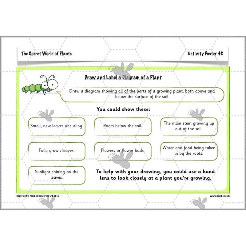 PlanBee Secret World of Plants - KS1 Science Scheme of Work: Year 2