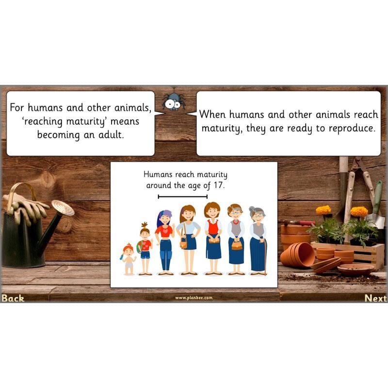 PlanBee Secret World of Plants - KS1 Science Scheme of Work: Year 2