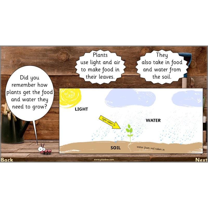 PlanBee Secret World of Plants - KS1 Science Scheme of Work: Year 2