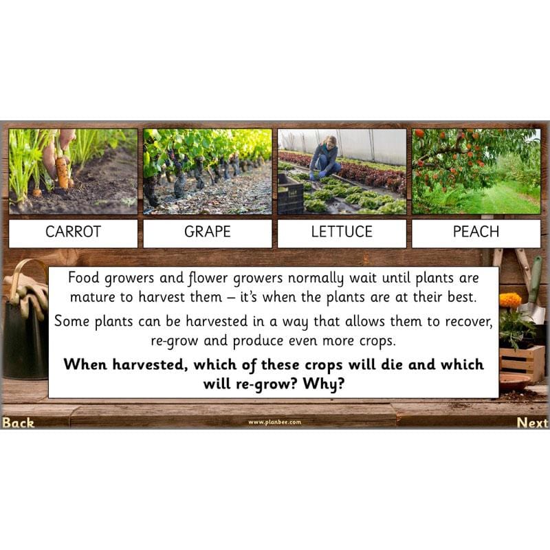 PlanBee Secret World of Plants - KS1 Science Scheme of Work: Year 2
