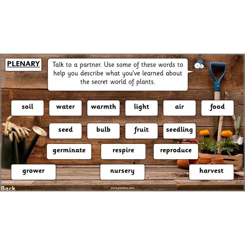 PlanBee Secret World of Plants - KS1 Science Scheme of Work: Year 2