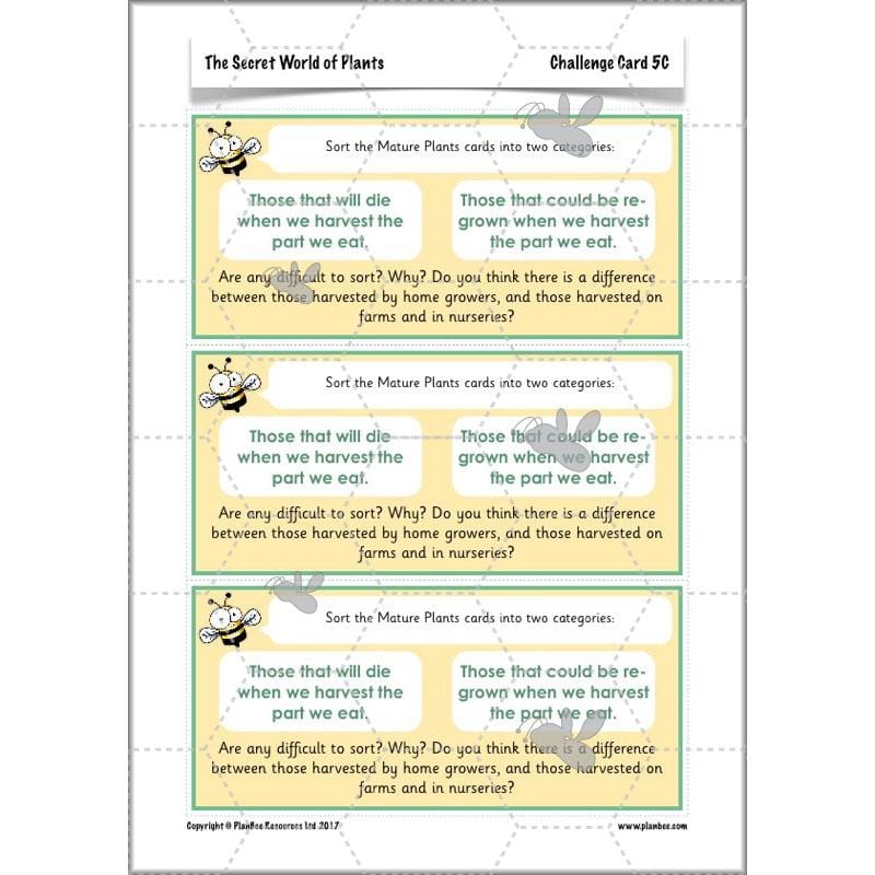 PlanBee Secret World of Plants - KS1 Science Scheme of Work: Year 2