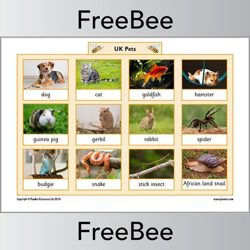 PlanBee FREE UK Animal word mat posters by PlanBee