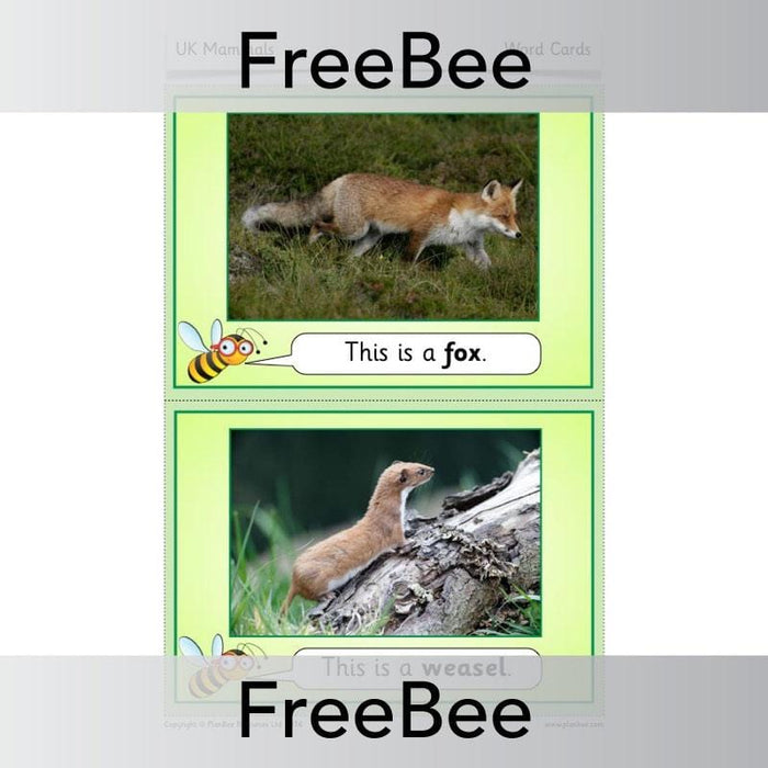 PlanBee FREE UK Mammal display photo cards by PlanBee