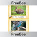 PlanBee FREE UK pet display word cards by PlanBee