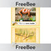PlanBee FREE UK pet display word cards by PlanBee