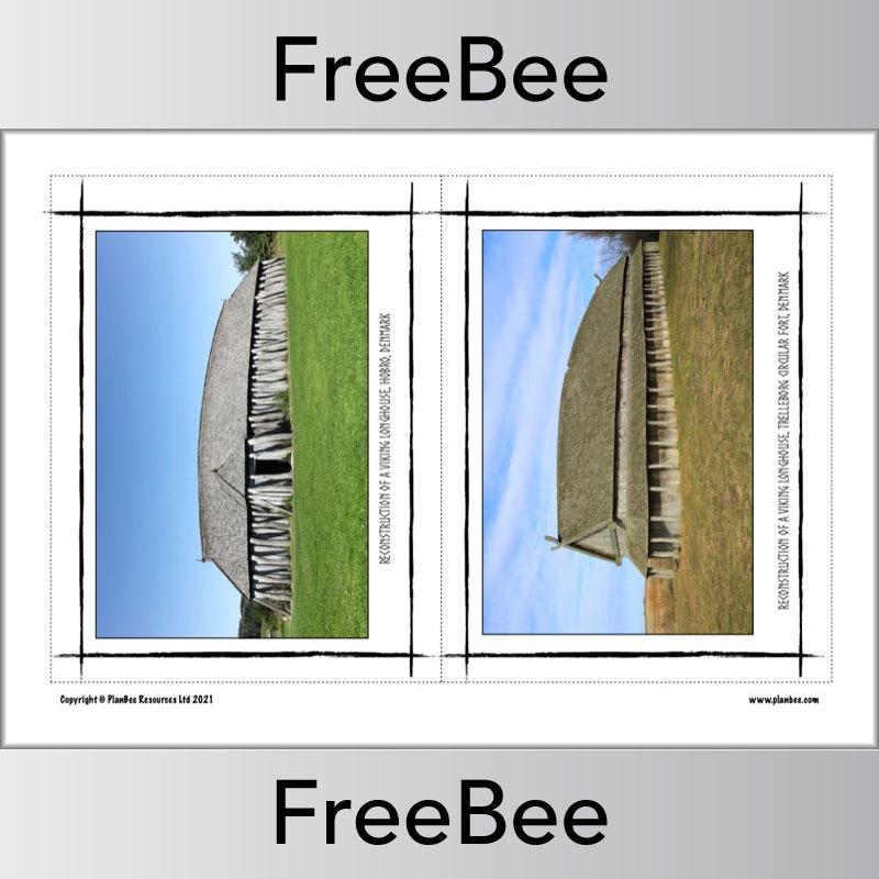 PlanBee FREE Viking Pictures by PlanBee