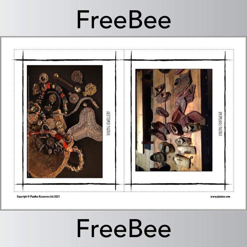 PlanBee FREE Viking Pictures by PlanBee