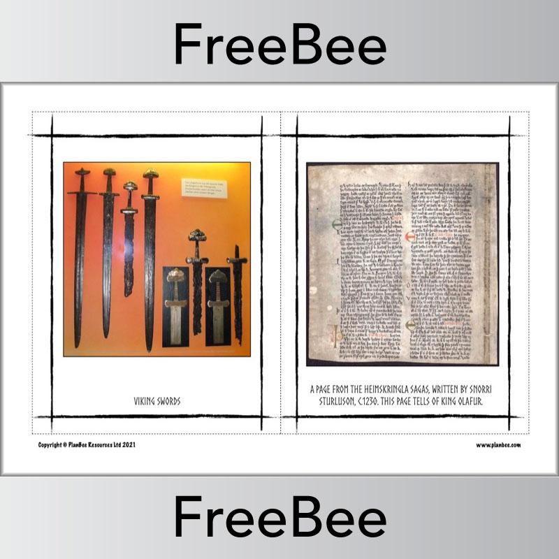 PlanBee FREE Viking Pictures by PlanBee