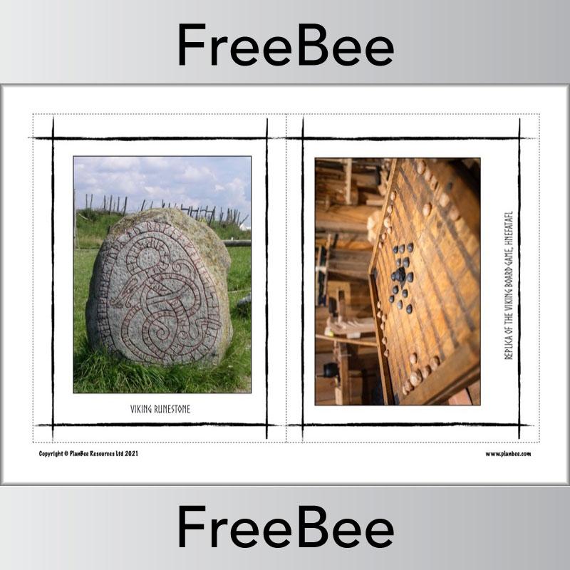 PlanBee FREE Viking Pictures by PlanBee