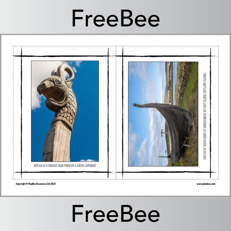 PlanBee FREE Viking Pictures by PlanBee