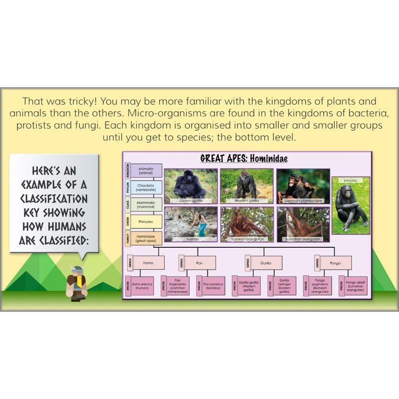 PlanBee Viking Science - Working Scientifically: Year 5 & Year 6 Science