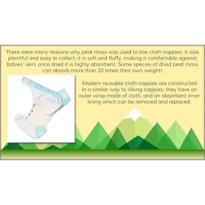 PlanBee Viking Science - Working Scientifically: Year 5 & Year 6 Science