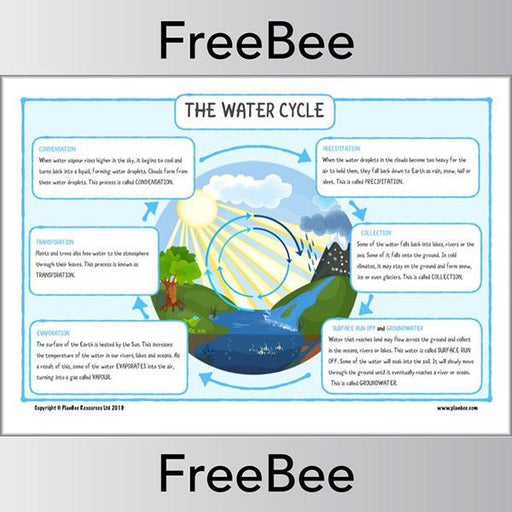 PlanBee FREE The Water Cycle KS2 Diagram by PlanBee