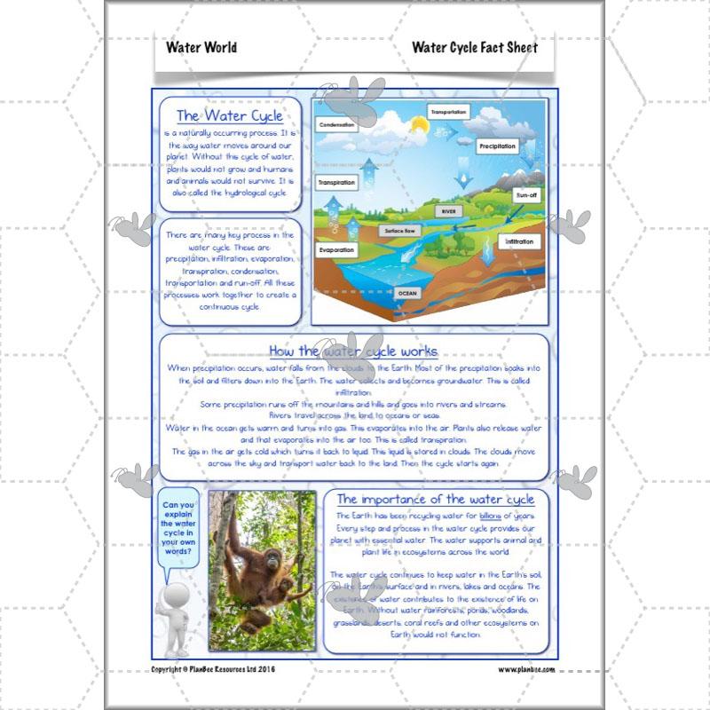 PlanBee Water World: Year 5 & Year 6 Geography scheme of work
