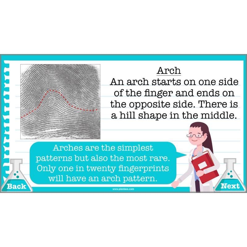 PlanBee What do Scientists do?: KS2 - Science - Working Scientifically Plans