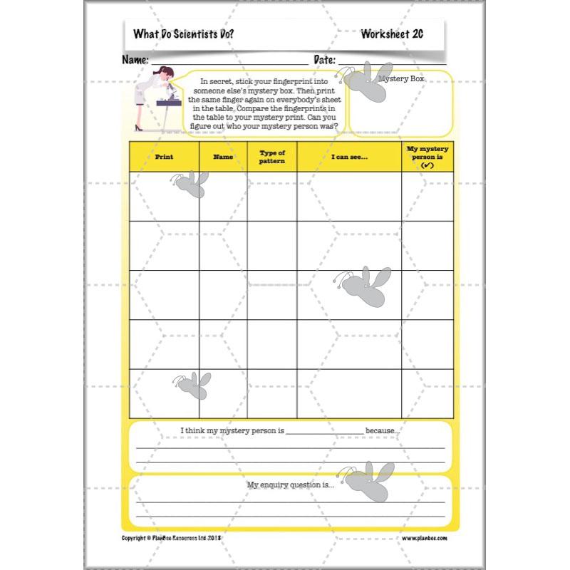 PlanBee What do Scientists do?: KS2 - Science - Working Scientifically Plans