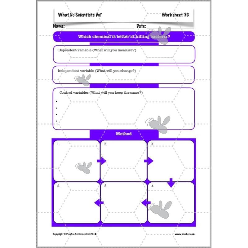 Scientific Enquiry KS2 Lessons - What Do Scientists Do?