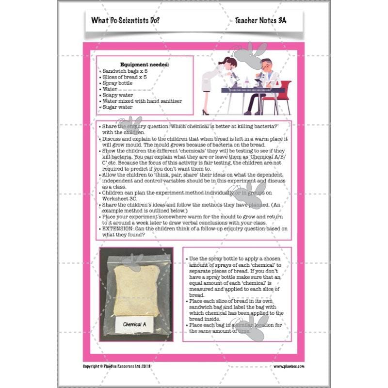 Scientific Enquiry KS2 Lessons - What Do Scientists Do?