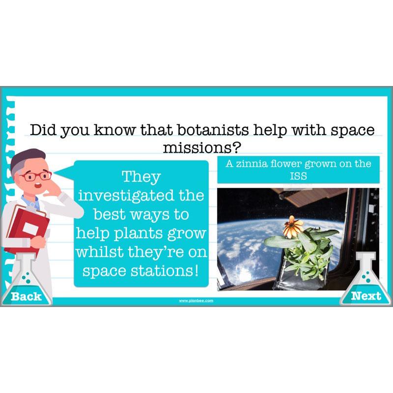 Scientific Enquiry KS2 Lessons - What Do Scientists Do?