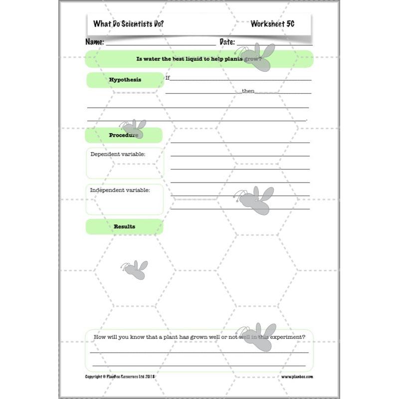Scientific Enquiry KS2 Lessons - What Do Scientists Do?