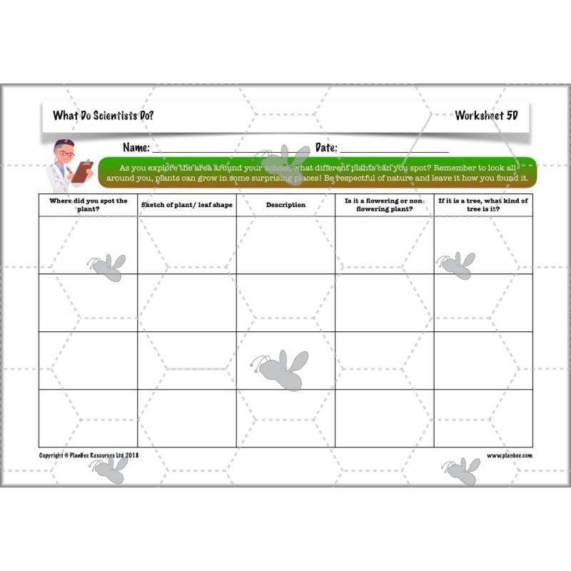 Scientific Enquiry KS2 Lessons - What Do Scientists Do?