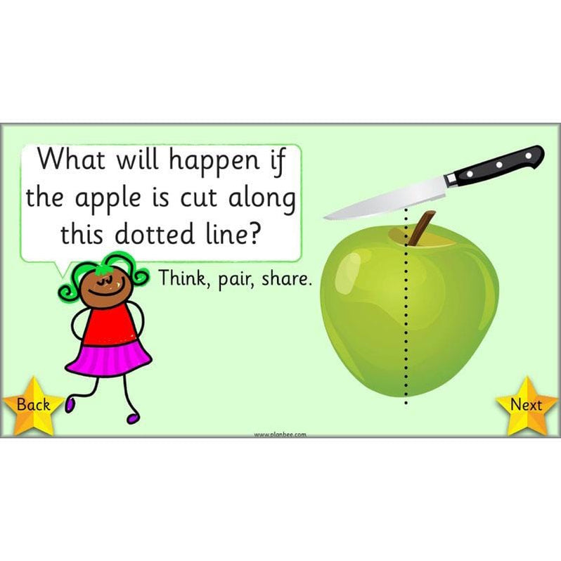 What is a half? Fractions for Year 1 by PlanBee