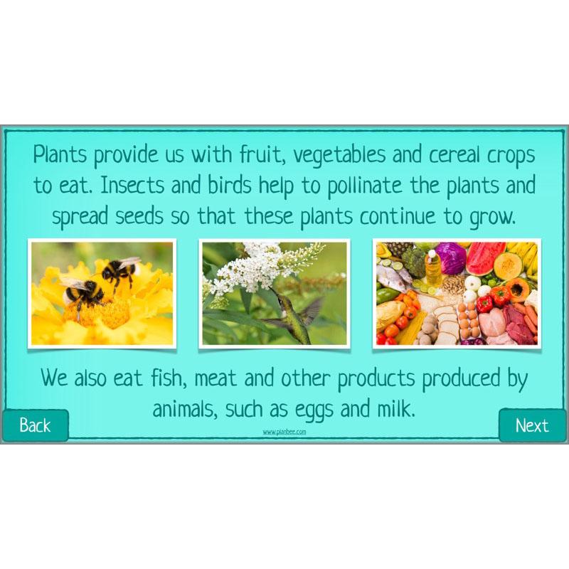 PlanBee Biodiversity KS2 ESR Lesson What is Biodiversity? by PlanBee