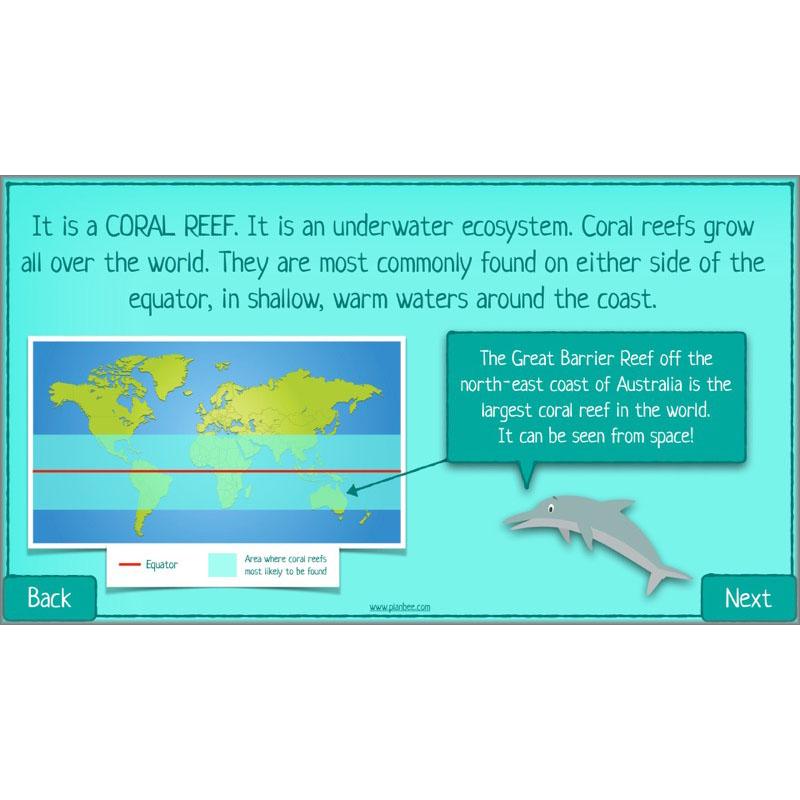 PlanBee Biodiversity KS2 ESR Lesson What is Biodiversity? by PlanBee