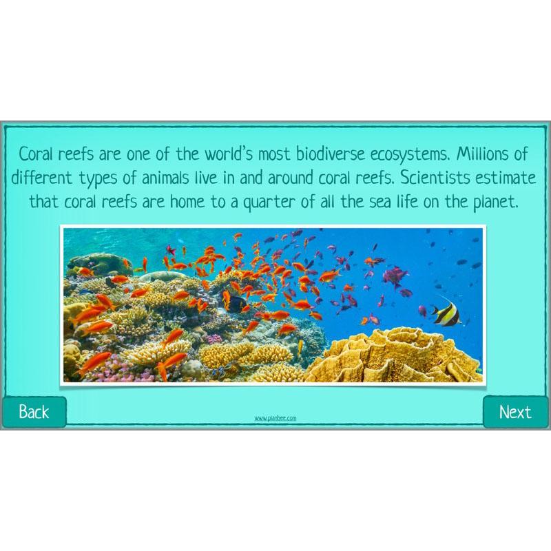 PlanBee Biodiversity KS2 ESR Lesson What is Biodiversity? by PlanBee