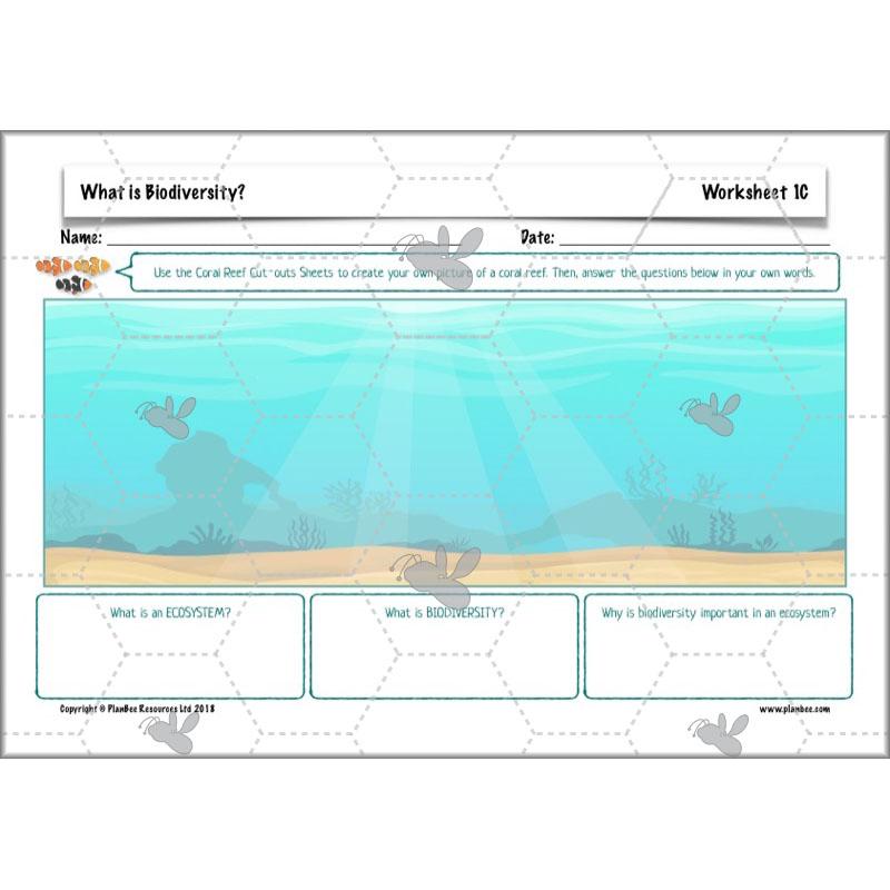 PlanBee Biodiversity KS2 ESR Lesson What is Biodiversity? by PlanBee