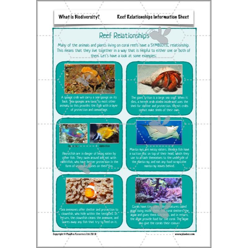 PlanBee Biodiversity KS2 ESR Lesson What is Biodiversity? by PlanBee