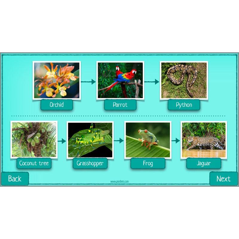PlanBee Biodiversity KS2 ESR Lesson What is Biodiversity? by PlanBee