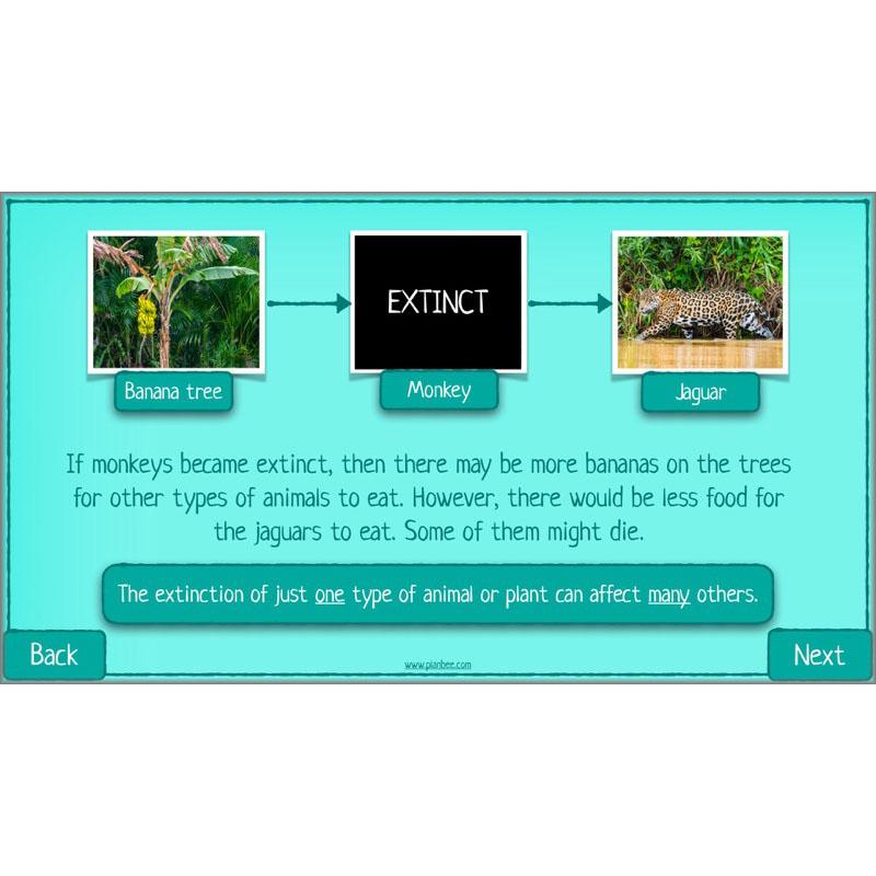 PlanBee Biodiversity KS2 ESR Lesson What is Biodiversity? by PlanBee