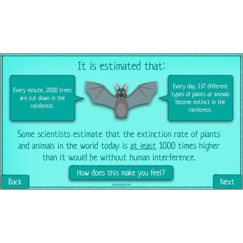 PlanBee Biodiversity KS2 ESR Lesson What is Biodiversity? by PlanBee