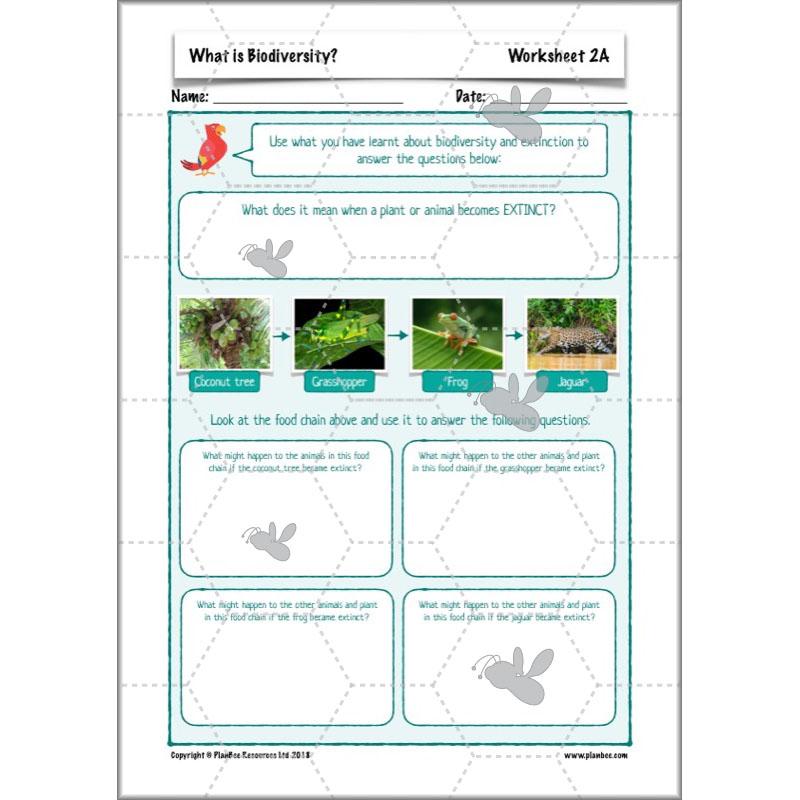 PlanBee Biodiversity KS2 ESR Lesson What is Biodiversity? by PlanBee