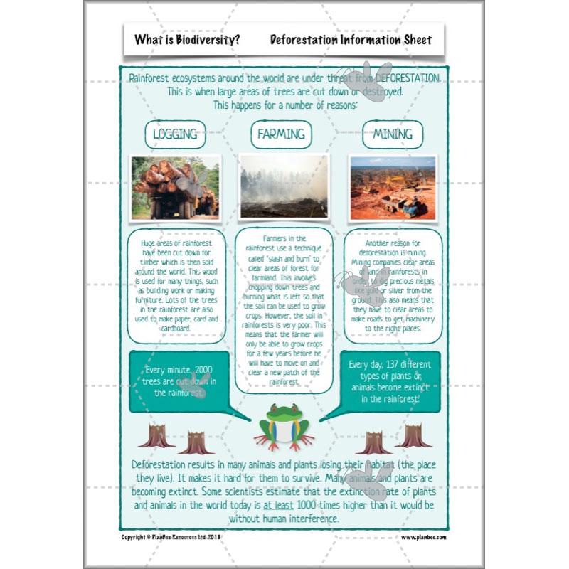 PlanBee Biodiversity KS2 ESR Lesson What is Biodiversity? by PlanBee
